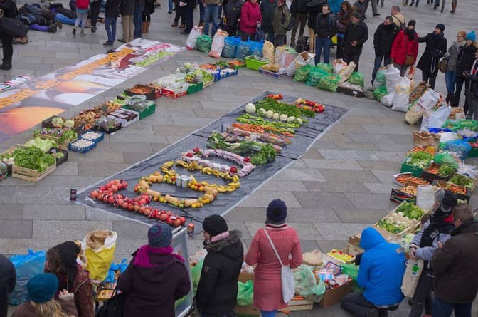 Straßenaktion in Köln zum zweiten foodsharing-Geburtstag